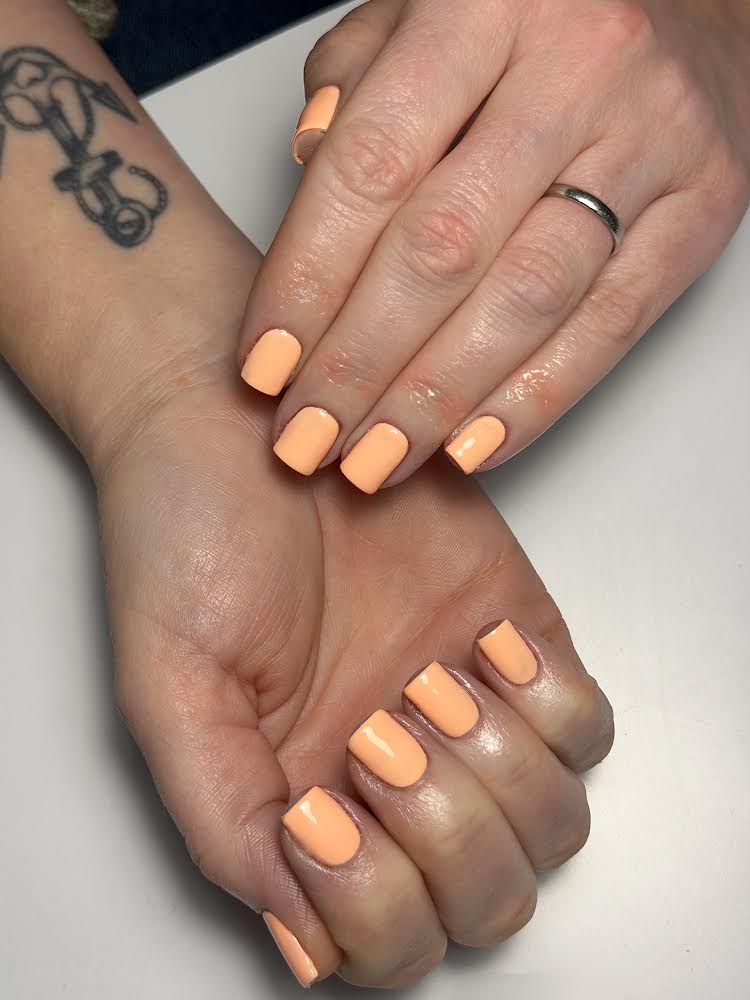 SHERBET