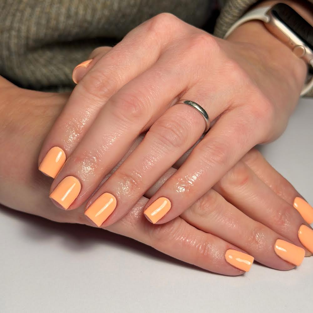 SHERBET